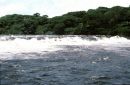 Water Falls, El Parque Cachamay, Puerto Ordaz